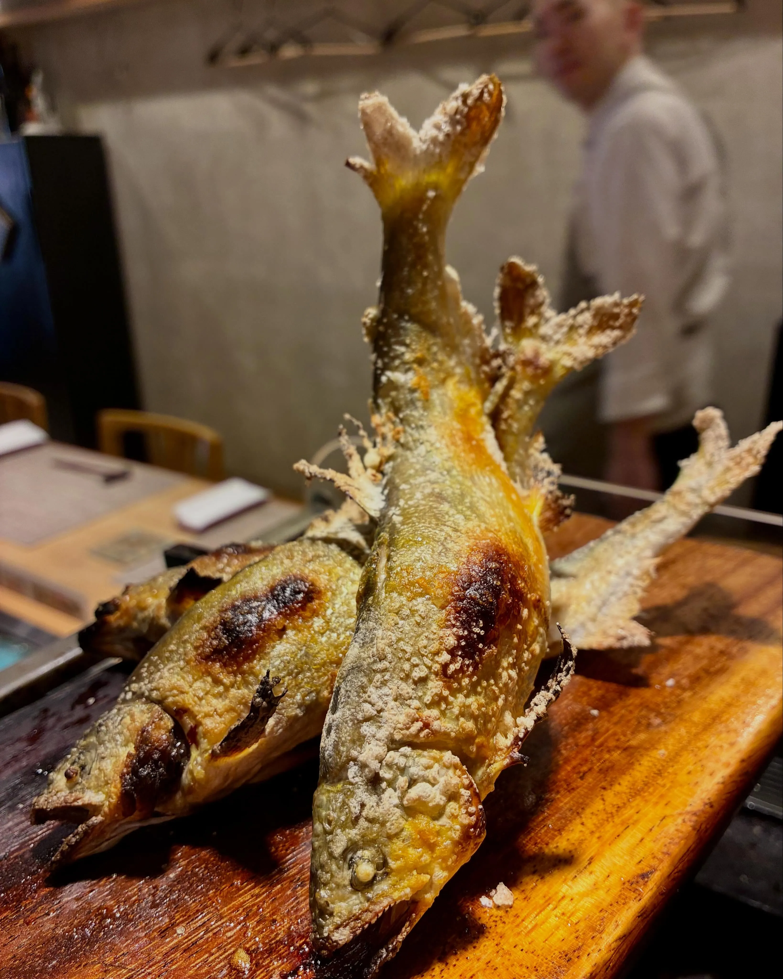 【鳥取　生本鮪と鮎塩焼き】